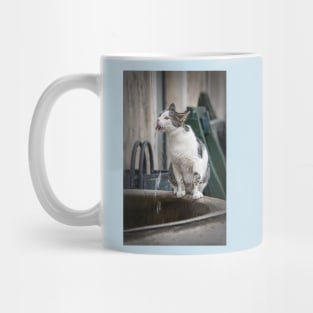 Katze trinkt am Brunnen Mug